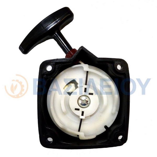 ex17.jpgStarter Decespugliatore Manuale Con Piastra